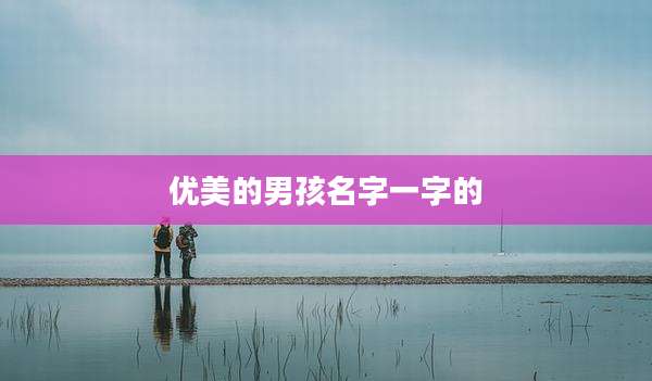 优美的男孩名字一字的