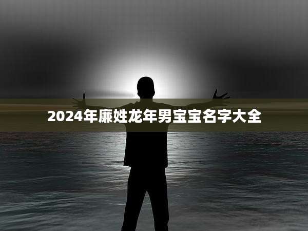 2024年廉姓龙年男宝宝名字大全