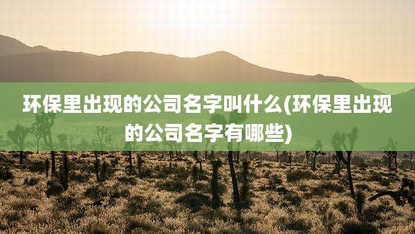 环保里出现的公司名字叫什么(环保里出现的公司名字有哪些)