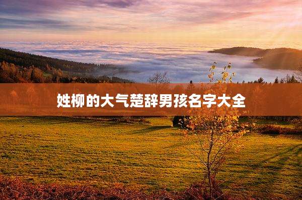 姓柳的大气楚辞男孩名字大全
