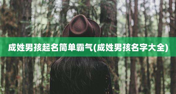 成姓男孩起名简单霸气(成姓男孩名字大全)