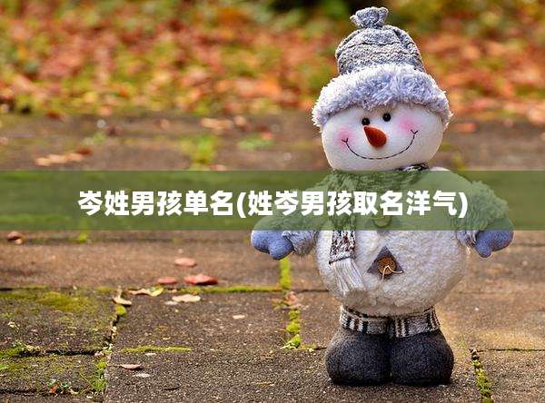 岑姓男孩单名(姓岑男孩取名洋气)