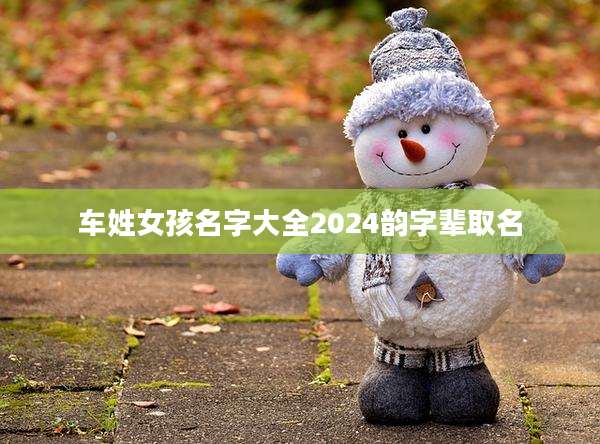 车姓女孩名字大全2024韵字辈取名
