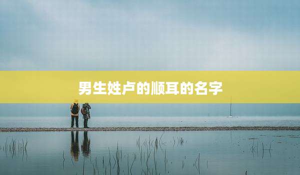 男生姓卢的顺耳的名字