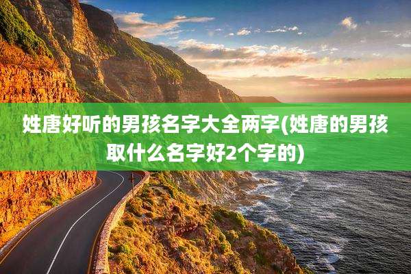 姓唐好听的男孩名字大全两字(姓唐的男孩取什么名字好2个字的)