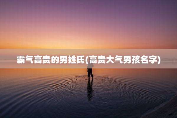霸气高贵的男姓氏(高贵大气男孩名字)