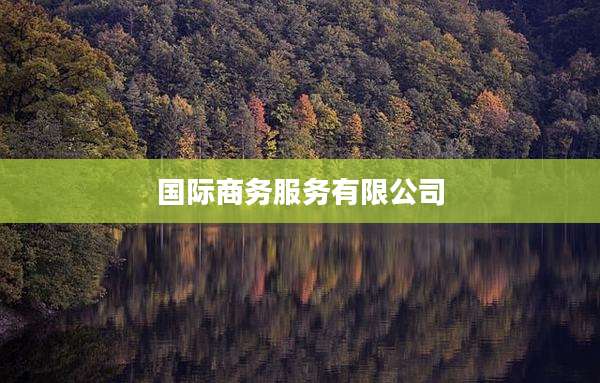 国际商务服务有限公司