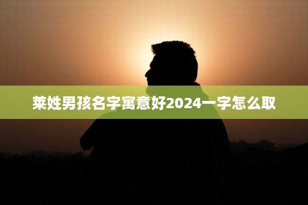 莱姓男孩名字寓意好2024一字怎么取