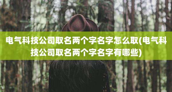 电气科技公司取名两个字名字怎么取(电气科技公司取名两个字名字有哪些)