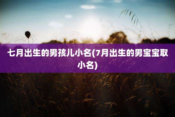 七月出生的男孩儿小名(7月出生的男宝宝取小名)