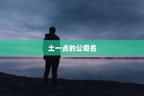 土一点的公司名
