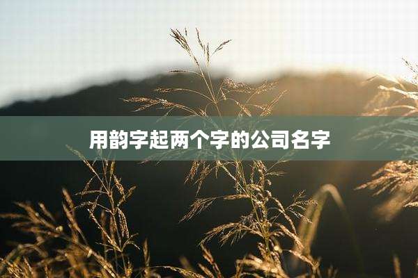 用韵字起两个字的公司名字