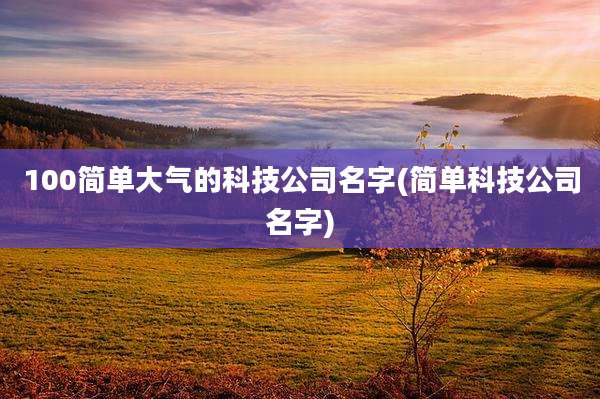 100简单大气的科技公司名字(简单科技公司名字)