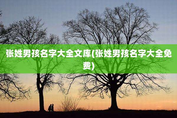 张姓男孩名字大全文库(张姓男孩名字大全免费)