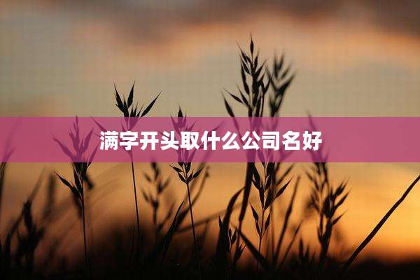 满字开头取什么公司名好