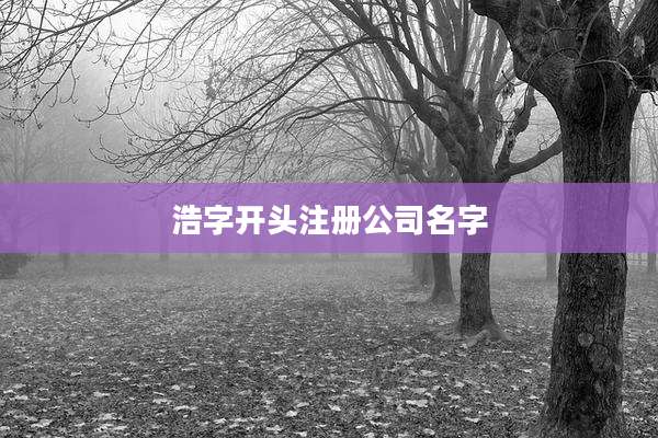 浩字开头注册公司名字