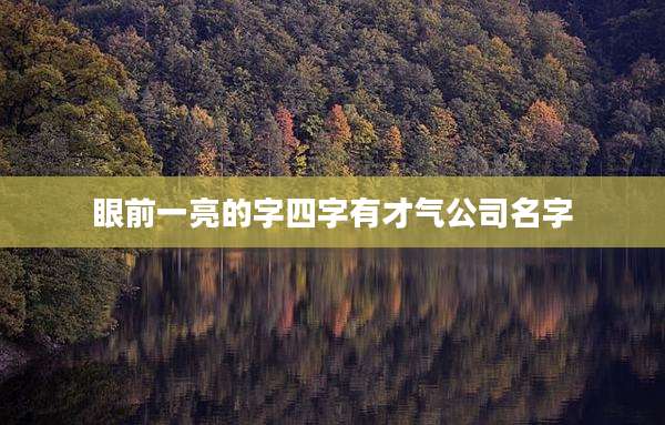 眼前一亮的字四字有才气公司名字