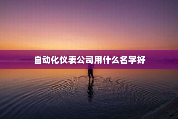 自动化仪表公司用什么名字好