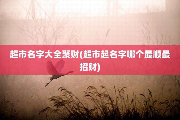 超市名字大全聚财(超市起名字哪个最顺最招财)
