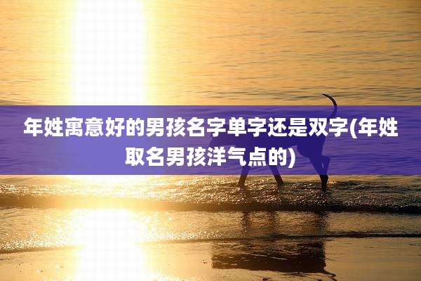 年姓寓意好的男孩名字单字还是双字(年姓取名男孩洋气点的)