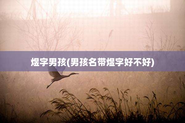 煜字男孩(男孩名带煜字好不好)