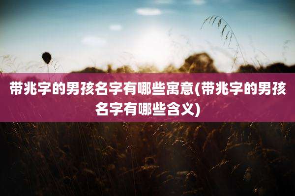 带兆字的男孩名字有哪些寓意(带兆字的男孩名字有哪些含义)