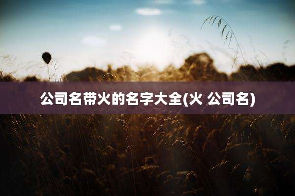 公司名带火的名字大全(火 公司名)