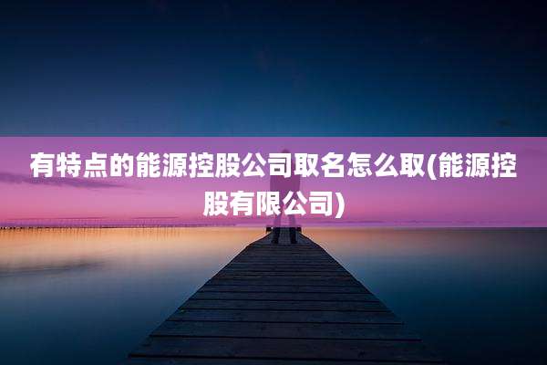 有特点的能源控股公司取名怎么取(能源控股有限公司)