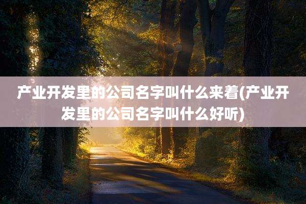 产业开发里的公司名字叫什么来着(产业开发里的公司名字叫什么好听)