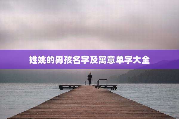 姓姚的男孩名字及寓意单字大全