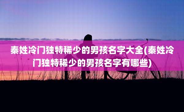 秦姓冷门独特稀少的男孩名字大全(秦姓冷门独特稀少的男孩名字有哪些)