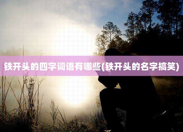 铁开头的四字词语有哪些(铁开头的名字搞笑)