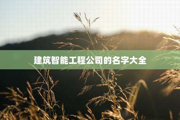 建筑智能工程公司的名字大全