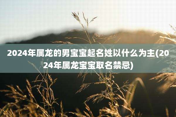 2024年属龙的男宝宝起名姓以什么为主(2024年属龙宝宝取名禁忌)