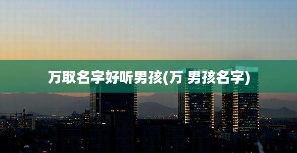 万取名字好听男孩(万 男孩名字)