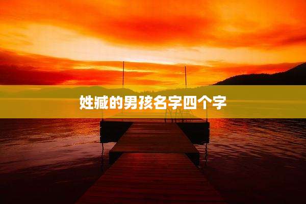 姓臧的男孩名字四个字