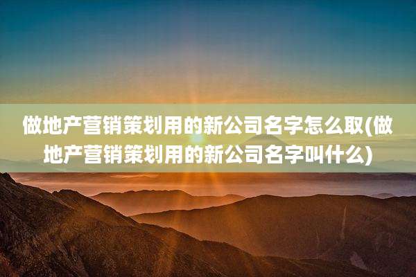 做地产营销策划用的新公司名字怎么取(做地产营销策划用的新公司名字叫什么)