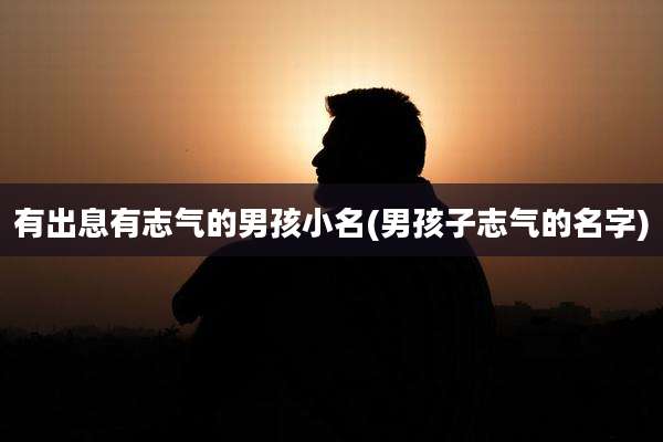 有出息有志气的男孩小名(男孩子志气的名字)