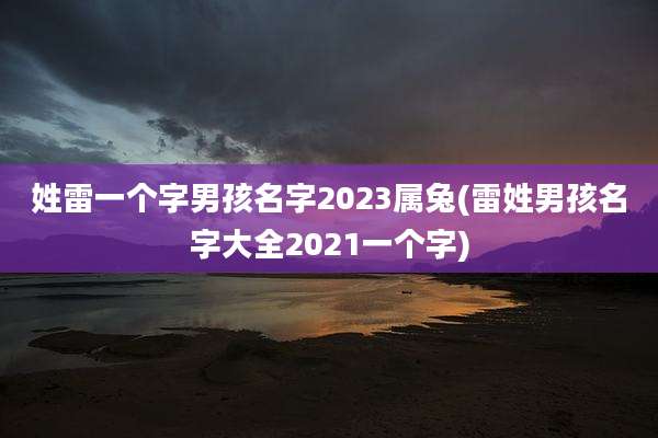 姓雷一个字男孩名字2023属兔(雷姓男孩名字大全2021一个字)