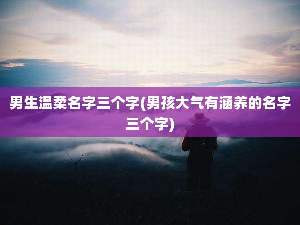 男生温柔名字三个字(男孩大气有涵养的名字三个字)
