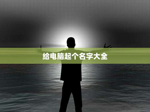 给电脑起个名字大全