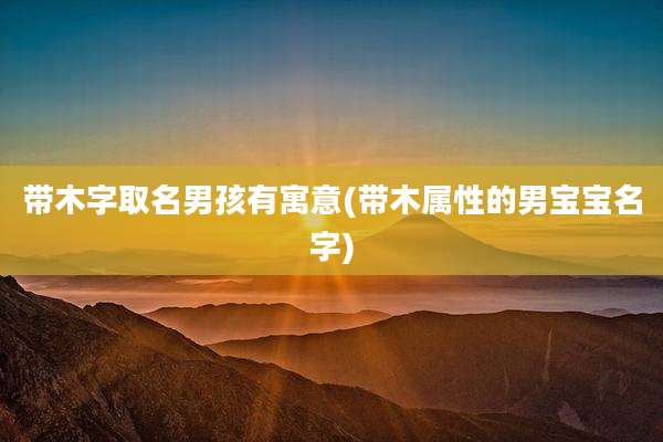 带木字取名男孩有寓意(带木属性的男宝宝名字)