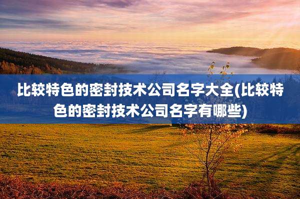 比较特色的密封技术公司名字大全(比较特色的密封技术公司名字有哪些)