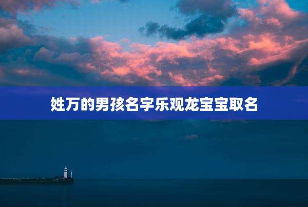 姓万的男孩名字乐观龙宝宝取名
