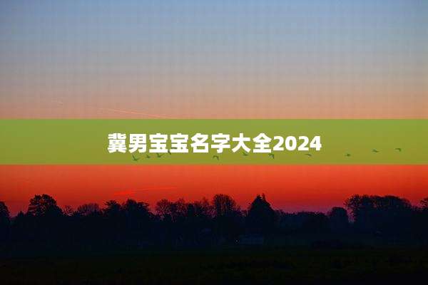 冀男宝宝名字大全2024