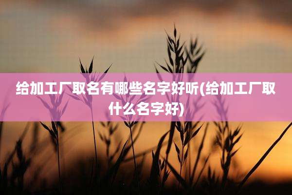 给加工厂取名有哪些名字好听(给加工厂取什么名字好)