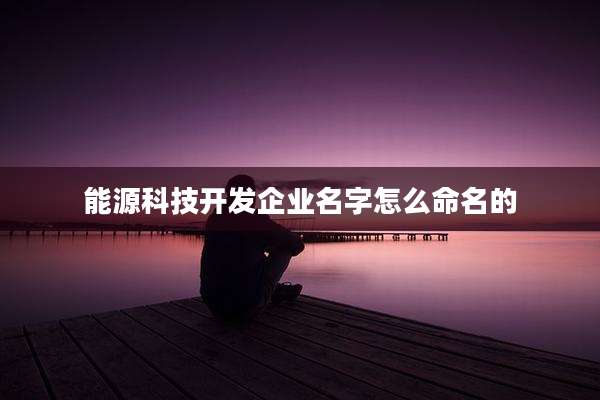 能源科技开发企业名字怎么命名的