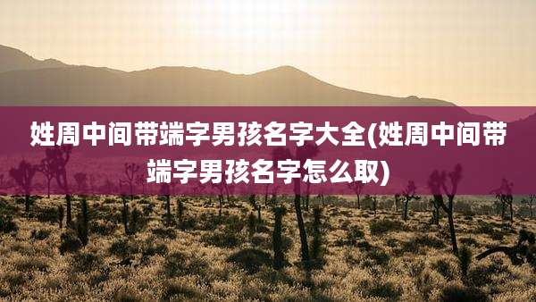 姓周中间带端字男孩名字大全(姓周中间带端字男孩名字怎么取)