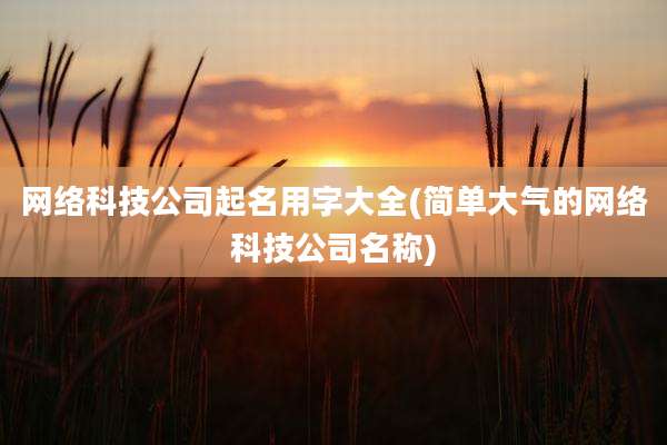 网络科技公司起名用字大全(简单大气的网络科技公司名称)