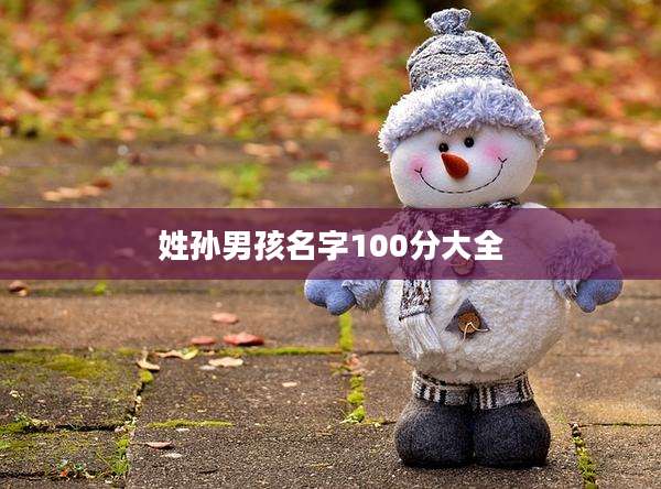 姓孙男孩名字100分大全
